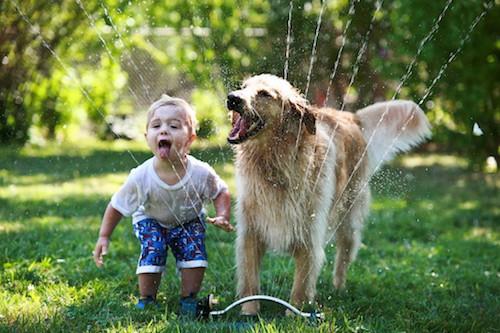 Boy and dog playing